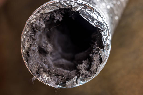 Best Emergency Air Duct Cleaning  in Boone, NC